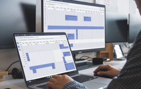 MS Project Management